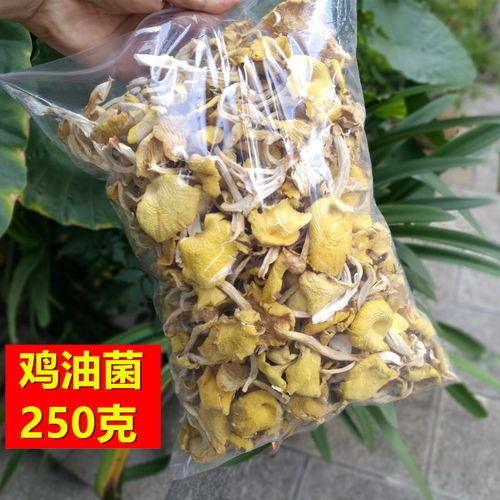 鸡油云南干货250克农产品食用菌香菇蘑菇黄菇食新鲜松茸